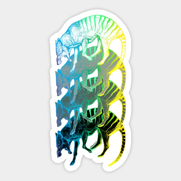 Rainbow Thylacines Sticker by charamath